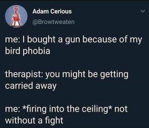 Screenshot of a Tweet by @Browtweaten:

me: I bought a gun because of my bird phobia

therapist: you might be getting carried away

me: *firing into the ceiling* not without a fight