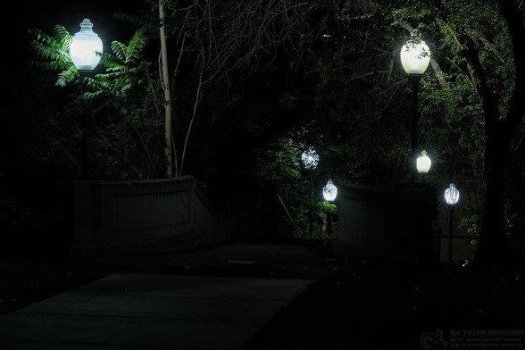 Color landscape night scene of a series of six globe shaped outdoor lights on pole. The lights, three per side, border unseen descending concrete stairs. It's quite dark but the two lights at the top of the stairs illuminate surround bushes and tree branches. 