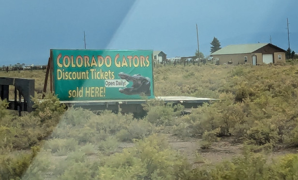 A sign on a platform in a field of weeds: COLORADO GATORS Discount Tickets sold HERE! with a picture of an alligator's head, and inside its open mouth is a smaller sign, Open Daily!