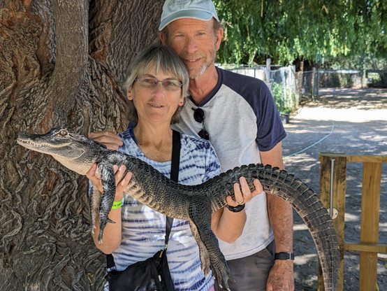 the author holding a baby alligator, with husband standing behind them