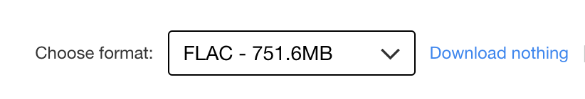 Screenshot showing label, “Choose format”, FLAC option selected, and a button with the label, “Download nothing”