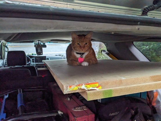 he is loafed on top of 2 large boards that are on top of the tools
the boards extend all the way up to the front seats