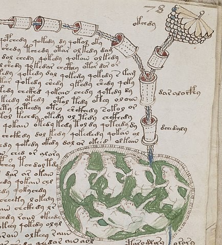 A page from a medieval manuscript with many lines of text in an unknown language of strange characters and drawings depicting naked women in a bath attached to an unknown object that might be a plant.  It makes no sense.