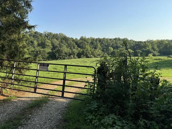 A gate across a dirt road that leads into a pasture. 