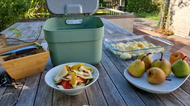 On a terrace table, shaded by a wisteria, I am peeling fallen pears and apples from my parent's garden for a crumble. In the background there is a small pond and the hedge with a little gate.