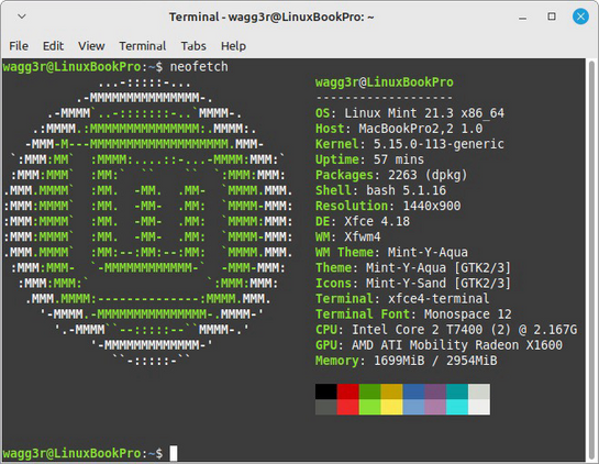 Screenshot of Linux Mint terminal neofetch command results