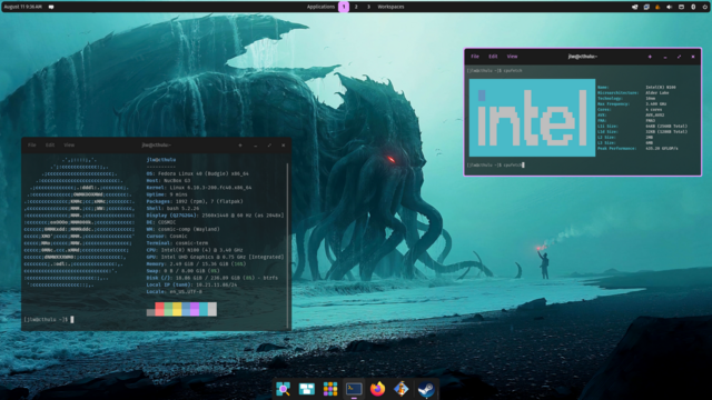 Cosmic desktop running on Fedora Budgie Spin

Fastfetch and CPUfetch displayed in respective windows. 