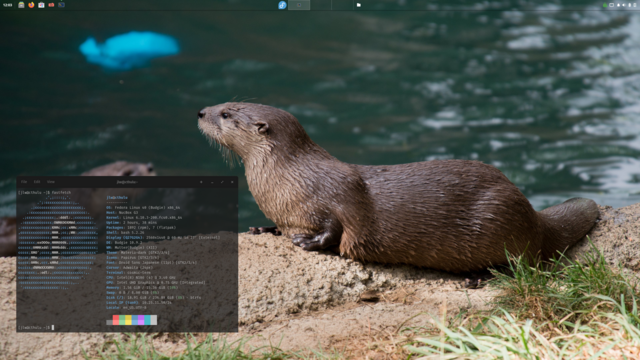 Budgie DE running on Fedora Budgie Spin with Fastfetch info in a window