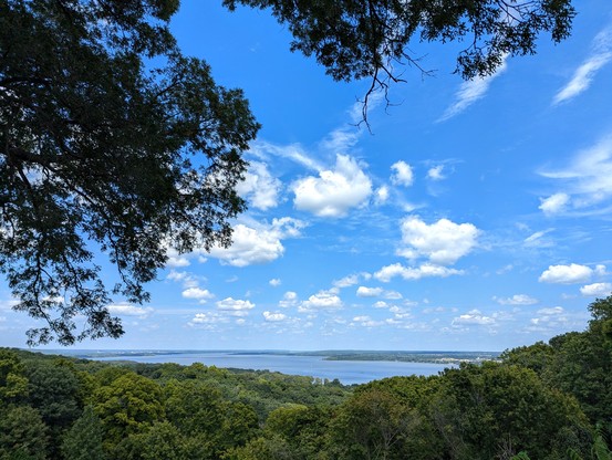 Tree branches on top and tree tops in the foreground frame form a natural frame for a winding river meeting the blue horizon scattered with fluffy white clouds.