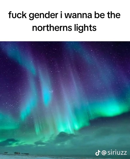 a meme showcasing the northern lights with the caption 