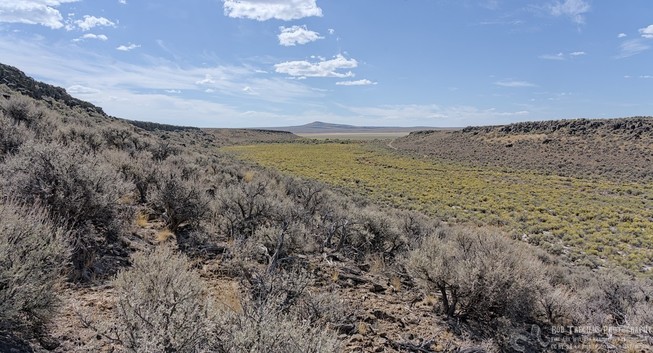 A landscape photo of a wide ravine with a distant lake playa and mountain peak beyond the playa, The sky is bright blue with a few puffy and a few wispy clouds. The ravine bottom is yellow with small flowers and the sides ate covered in sagebrush. Ancient volcanic lava flows top both sides of the ravine.