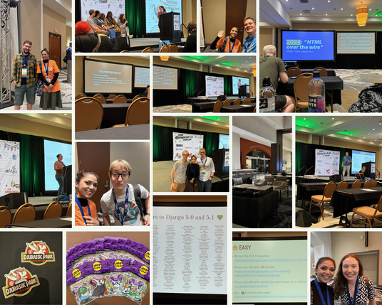 DjangoCon US collage 2