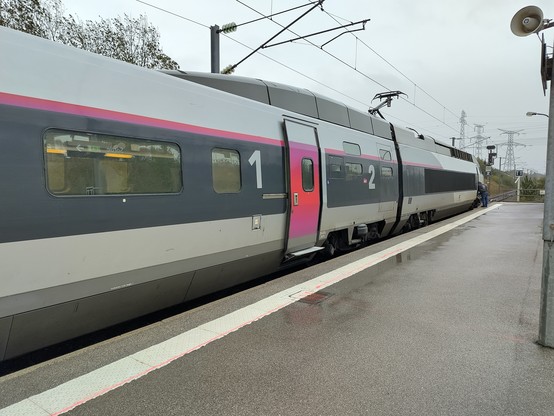 TGV locomotor and carriage