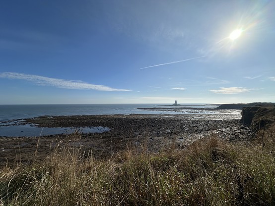 A rocky coast under blue sunny skies, with bushes and brush in the foreground. 