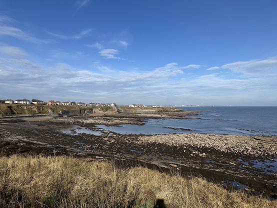 A craggy, rocky coastal bay with brush in the foreground and buildings on the horizon. 