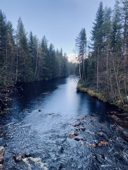 Leipikoski creek