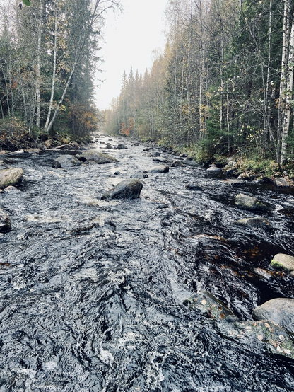 Leipikoski creek