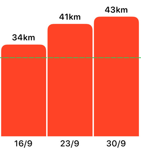 Graph showing the distance progression week by week