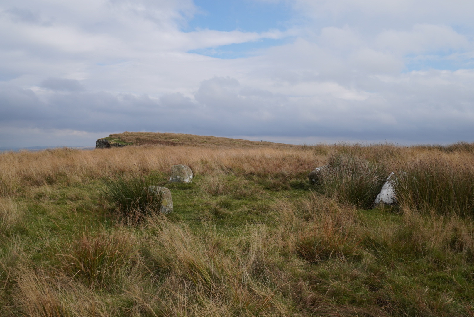 Small stone circle set in remote moorland.