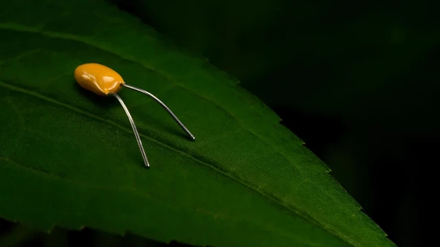 Insect-like electronic component poised atop a green leaf.