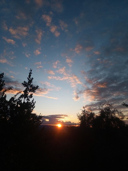 A sunset in Tuscany, the sun sandwiched between a thin cloud and the horizon. Vegetation in the foreground and a few whisps of cloud highlighted in peach by the setting sun.