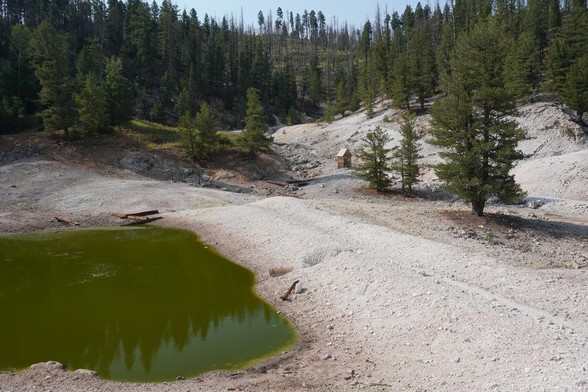 A strange, white, chalky looking landscape of rolling hills. In the left foreground is a dark green pond. There are a few branches and other detritus along the shores of the pool. In the middle distance is the ruin of a tiny wooden shed. Conifer trees are scattered here and there at the middle distance, and are more numerous on the hillside farther away. Some of the more distant trees are just standing trunks left from a fire.