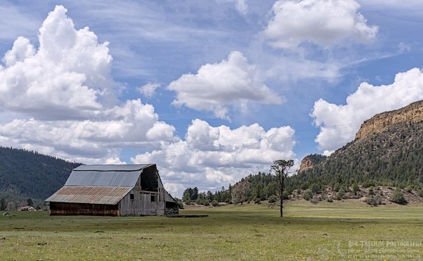 And old barn sits in a short grass field in a valley. On the right is a rolley tree covered hill. On the left is a rocky but tree covered mesa. A tree stands to the right of the front of the barn which is on the left side of the frame. The sky is bright blue but mostly filled with large puffy white clouds.