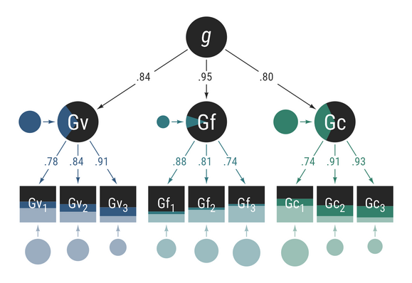 A confirmatory factor analysis model with variables drawn to scale according to their variances