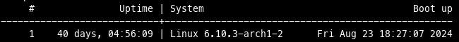 Uptime:  40 days, 04:56:09
Kernel: Linux 6.10.3-arch1-2 
Booted on: Fri Aug 23 18:27:07 2024