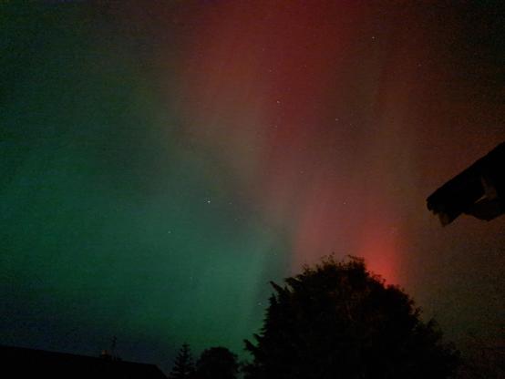 Aurora above silhouette of tree and roofs. Half the sky is green, the other half is red.