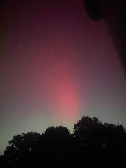 A red band of aurora above some trees