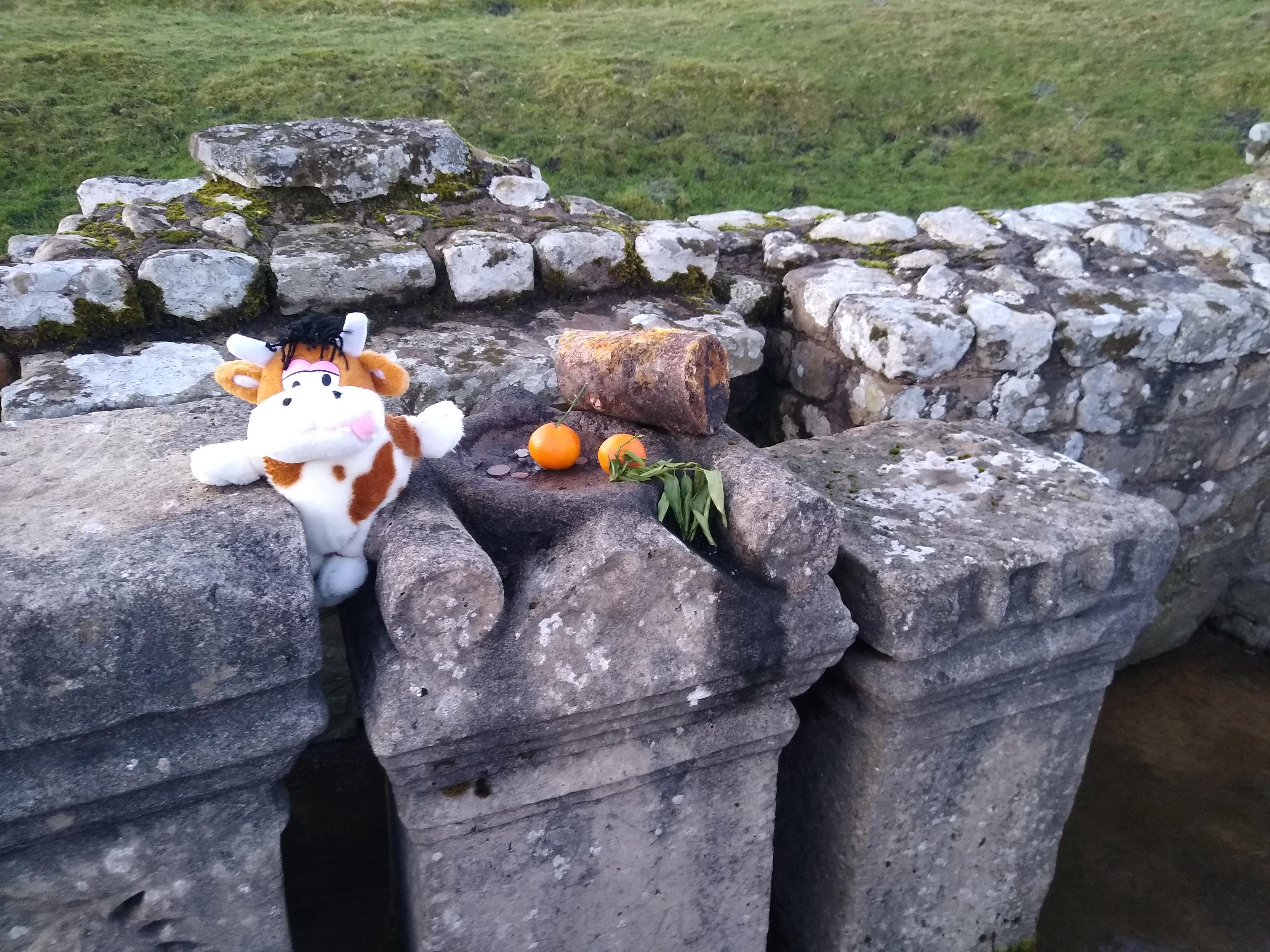 Stone pedestal style alter in the ruin of an ancient Roman temple.