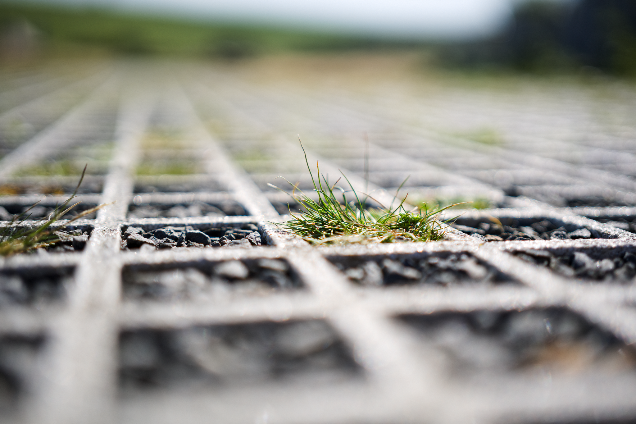 Close up of a roof walkway 'grid' pattern, with gravel and grass.