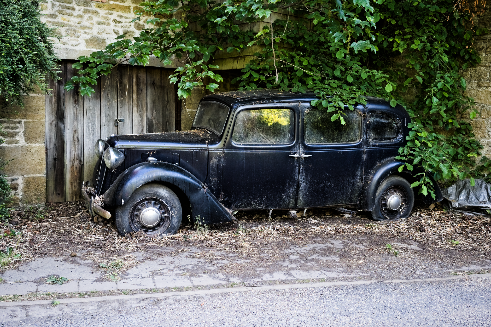 Old (slightly derelict) black vintage car beside an overgrown wall.