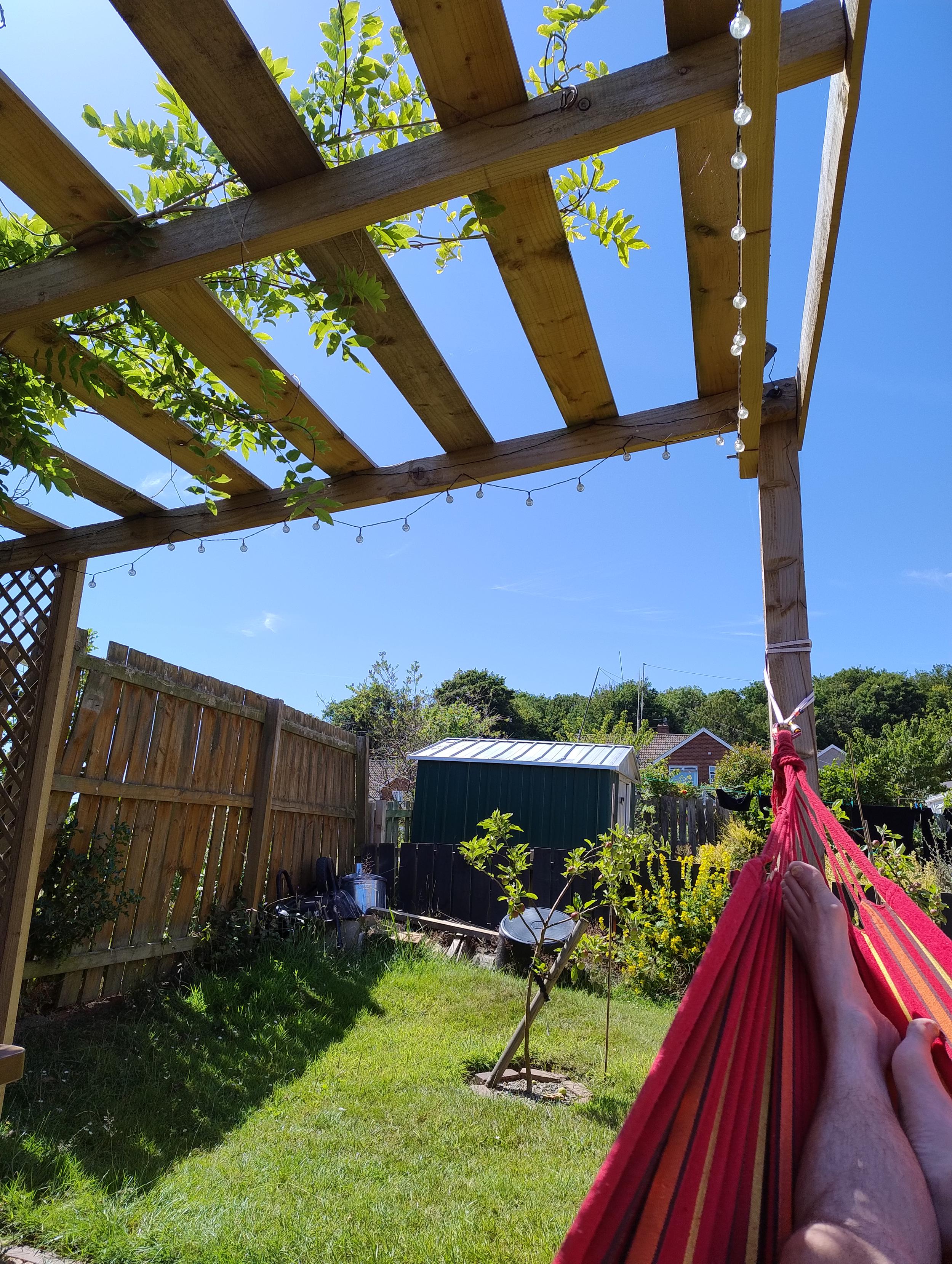 POV from my hammock, under a slightly shady arbour, blue skies beyond.