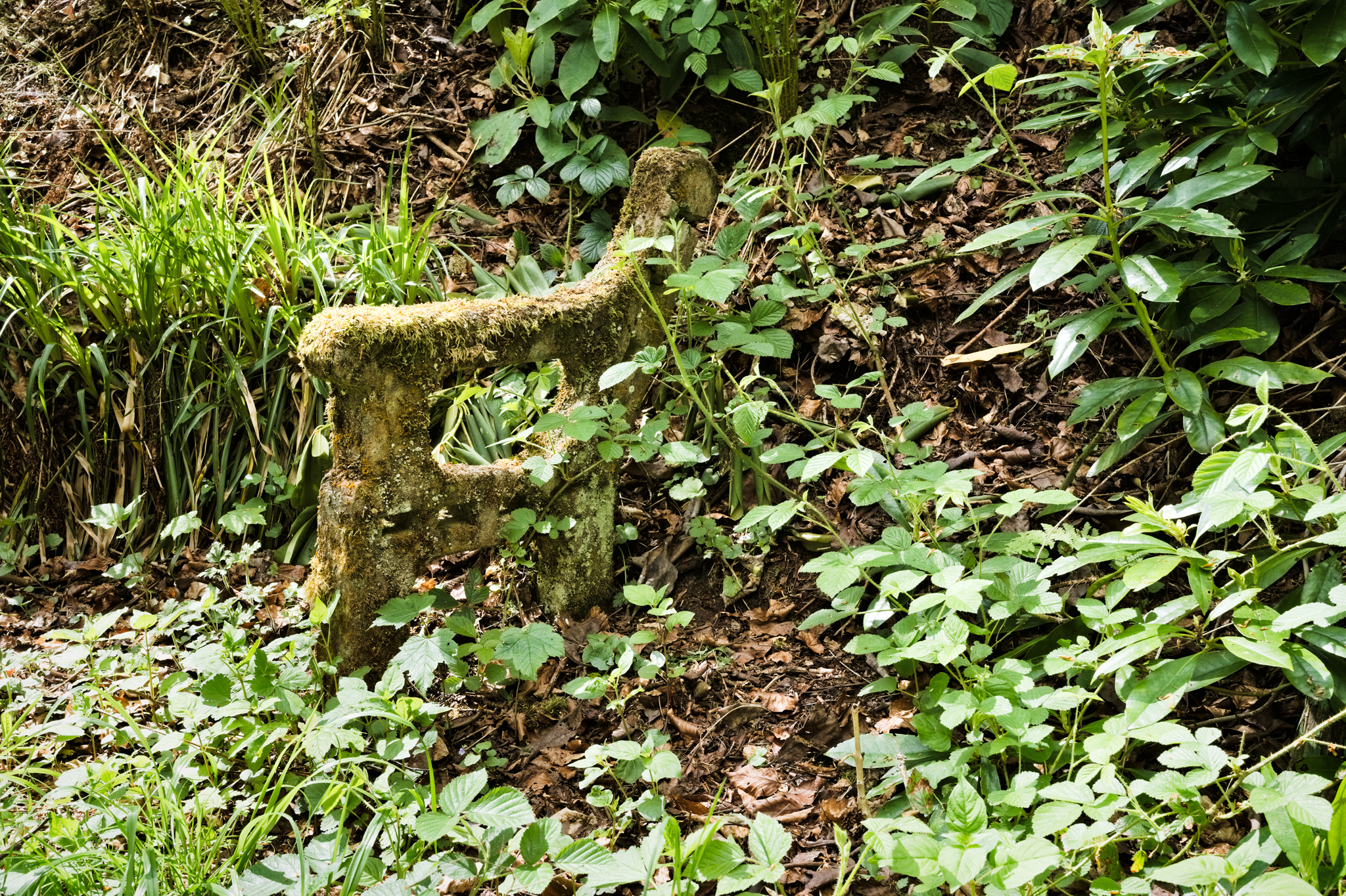 Moss covered concrete bench support in overgrown woodland setting. Legs and arm rest are intact, but all the wooden components have gone!