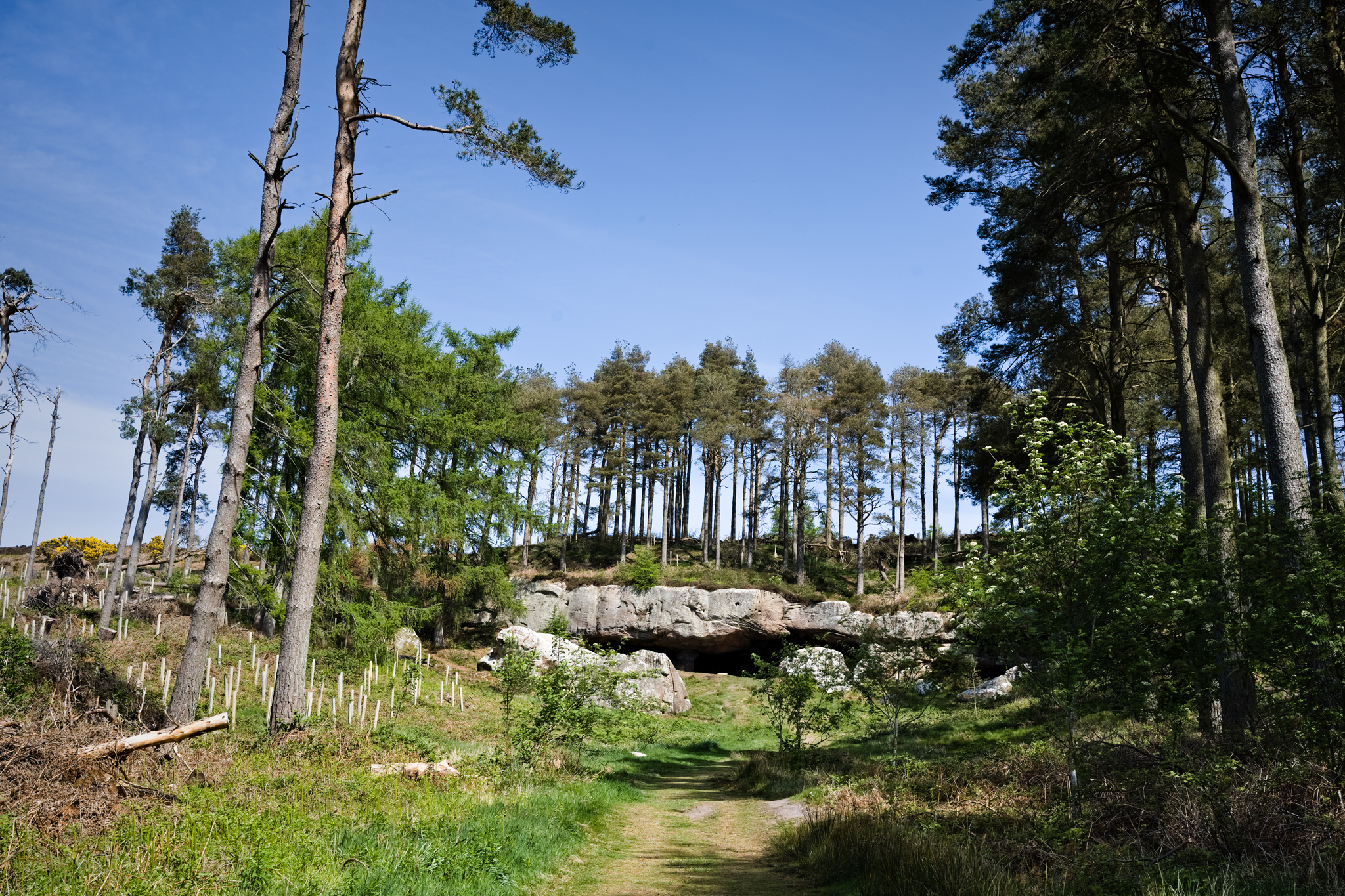 Sandstone cave at the end of a grassy path, amongst woodland scenery and blue skies.