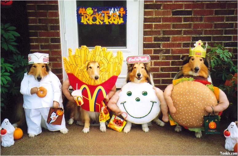 4 border collies dressed up for halloween, a Crispy cream vendor, a Mc Donalds french fries, an Eat n Park smiley face and a Burger King burger
