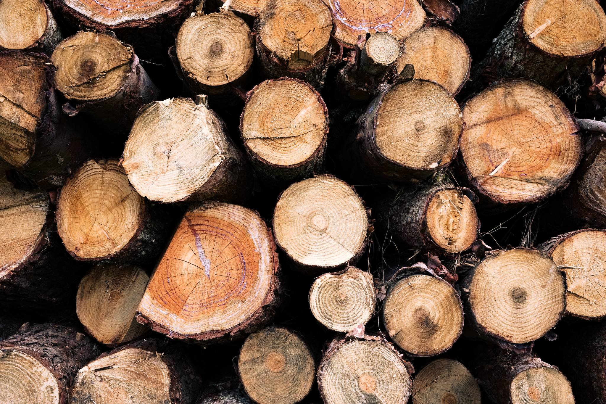 Side view of stacked logs from a forestry operation.