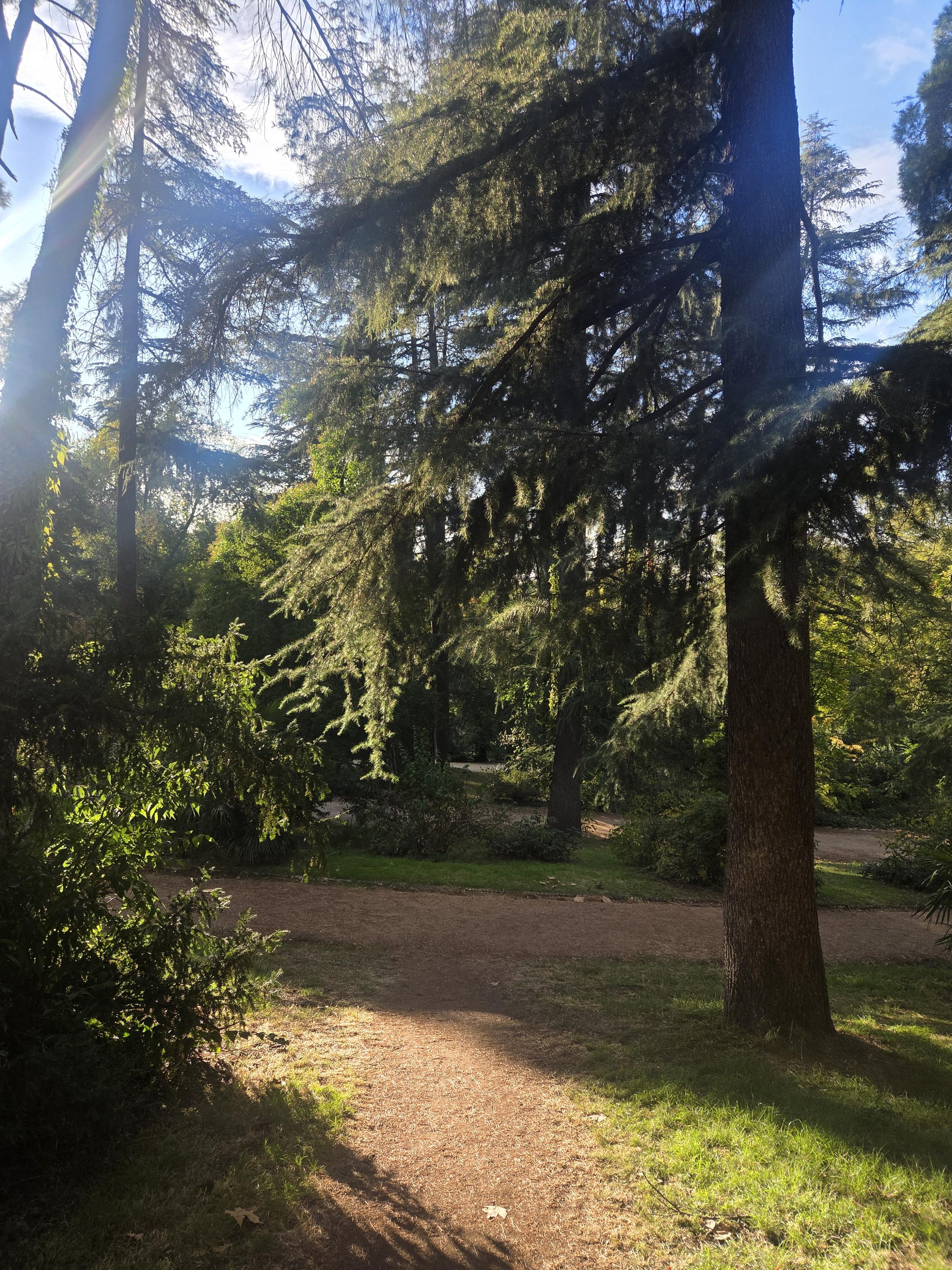 Another path in this gorgeous park