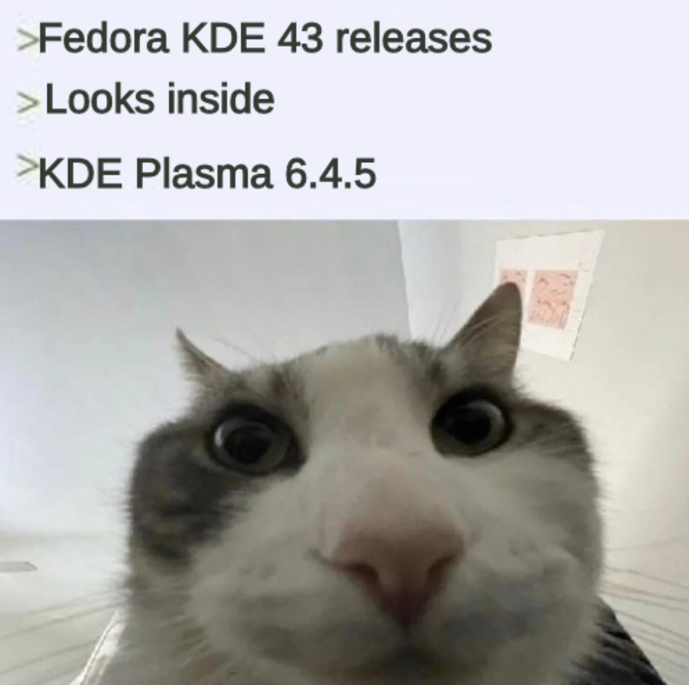 > Fedora KDE 43 release
> Looks inside
> KDE Plasma 6.4.5
> Cat with bemused expression