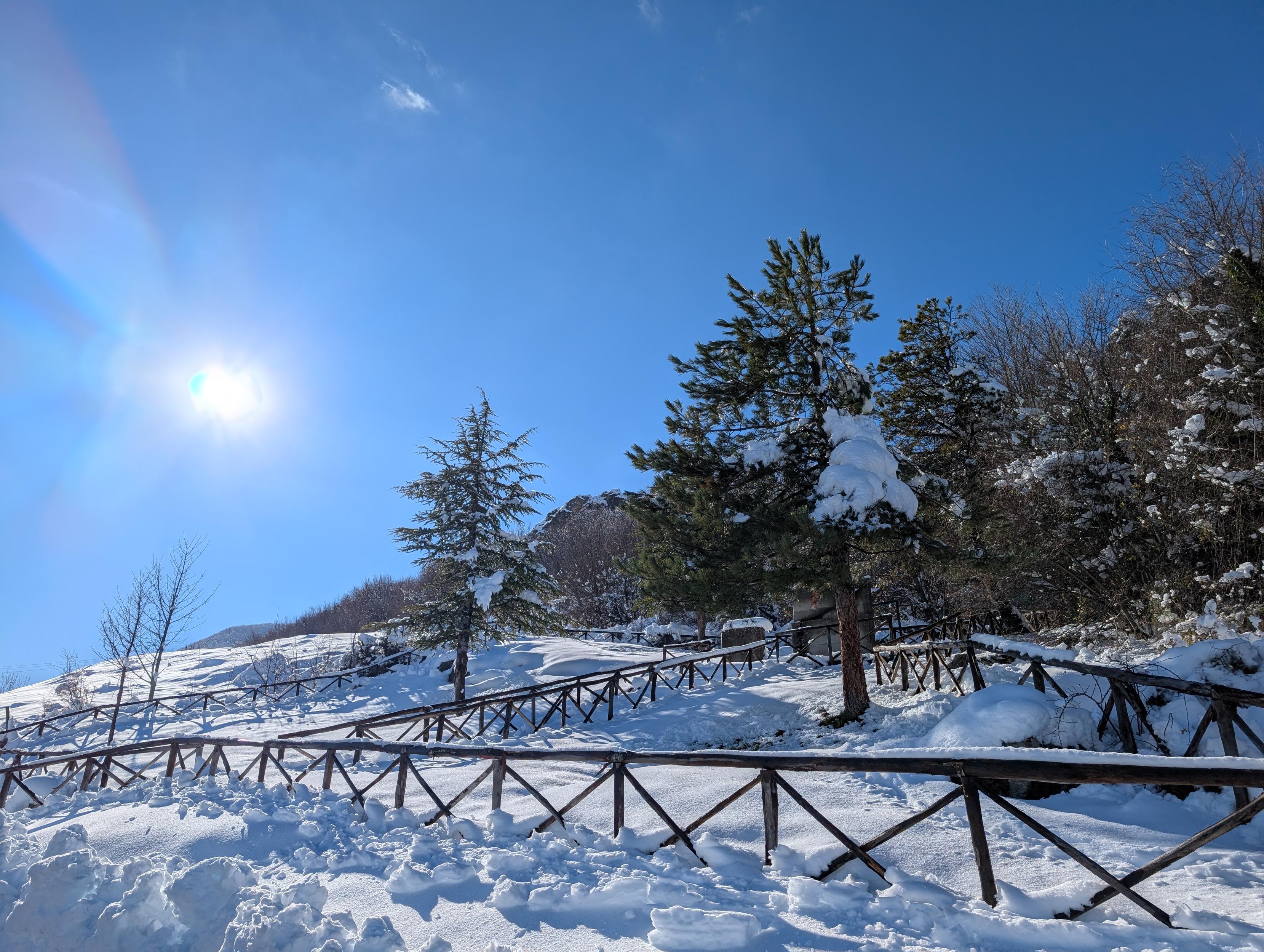 A bright winter morning in the mountains of Abruzzo. The sun rises from the left, casting warm light across a landscape covered in fresh, untouched snow. The surface of the snow is gently rippled, creating soft shadows and highlights. On the right side stands the edge of a dense forest of tall fir trees, their branches heavy and white with snow. In front of the trees, a simple wooden fence made of rough logs runs across part of the scene. The sky above is clear and deep blue, framing the quiet, peaceful atmosphere of the snowy mountain landscape.