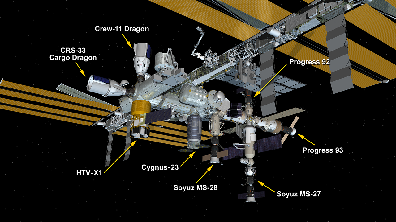 Graphic of the ISS and the 8 docked spacecraft.
NASA