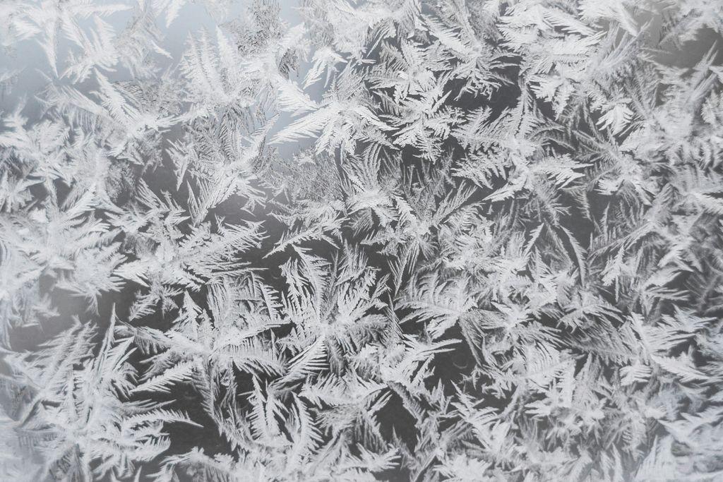 A closeup of the pretty leafy pattern in a light frost.