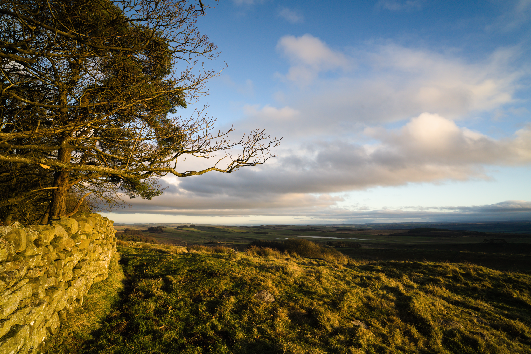 Sunlit dry-stone wall enclosing trees, and a view across countryside. Light clouds in blue skies.