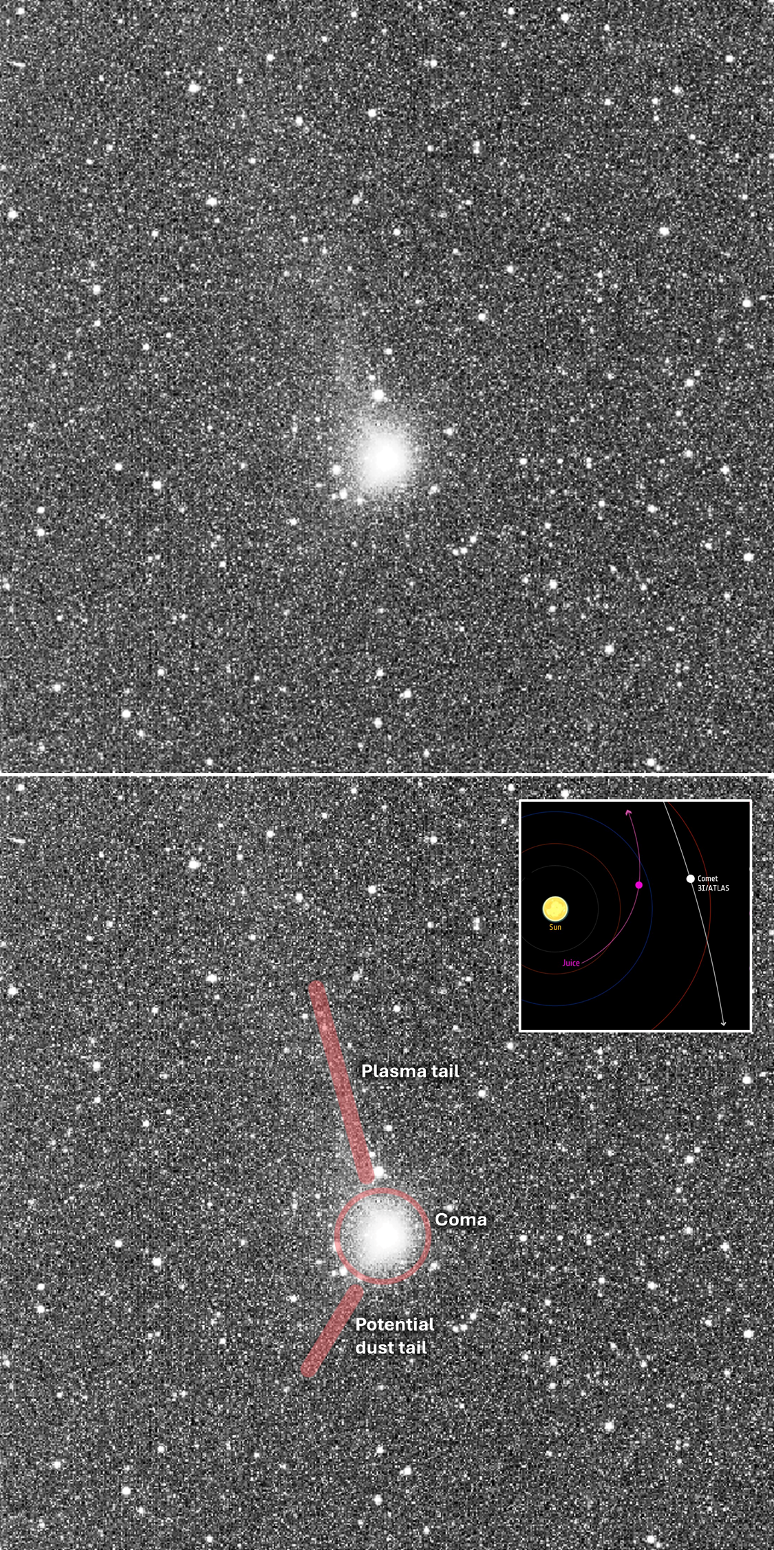1. Grainy image of Comet 3I/ATLAS, with white dots on a dark background. At the centre of the image is a larger, bright white blob with a faint white line stretching towards the top of the frame.
2. Above image annotated to show its two tails.
CREDIT: ESA/Juice/NavCam
