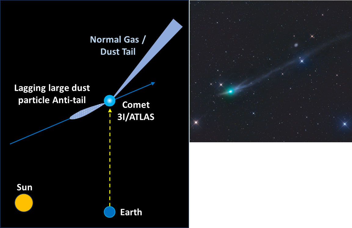 A simple diagram to illustrate the formation and viewing of a comet's anti-tail.
Comet pic credit: Gerald Rhemann & Michael Jäger