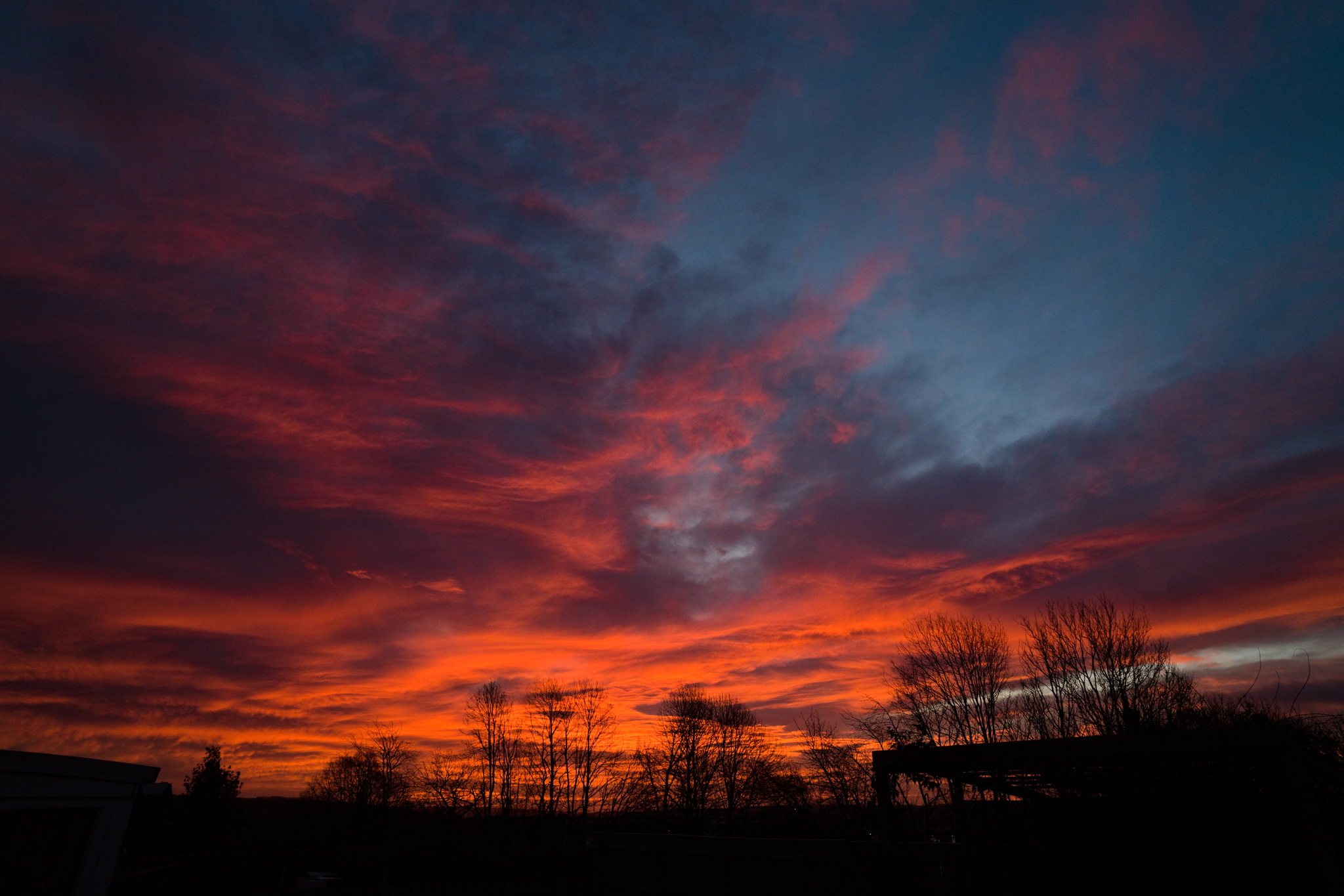 Very red, cloudy sunrise, trees in silhouette.