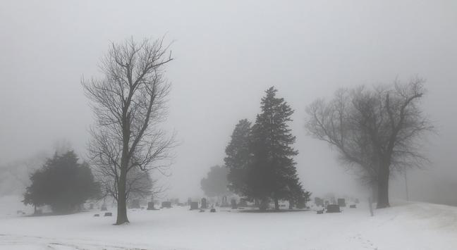 View from about 100m away of a small, old local graveyard in Elwood, IL. Everything shrouded in fog, framed by large trees emerging from between the graves.