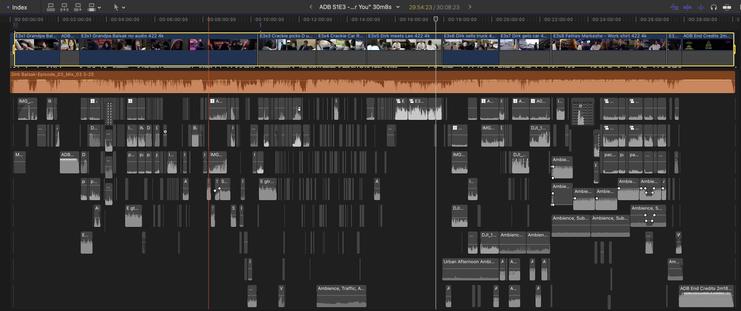 Screenshot of a video editing program with audio and video tracks.